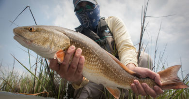 fishing in jamaica