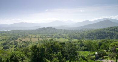 green castle jamaica