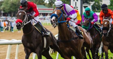 horse race jamaica