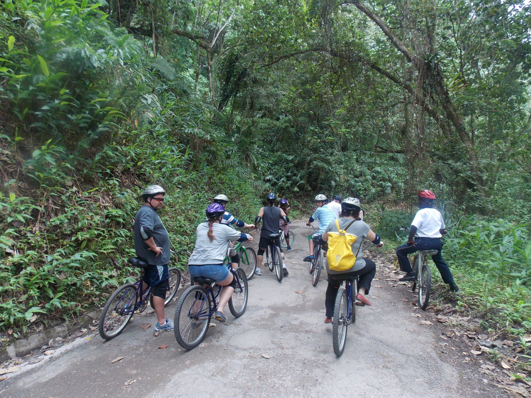 jamaica bike tour