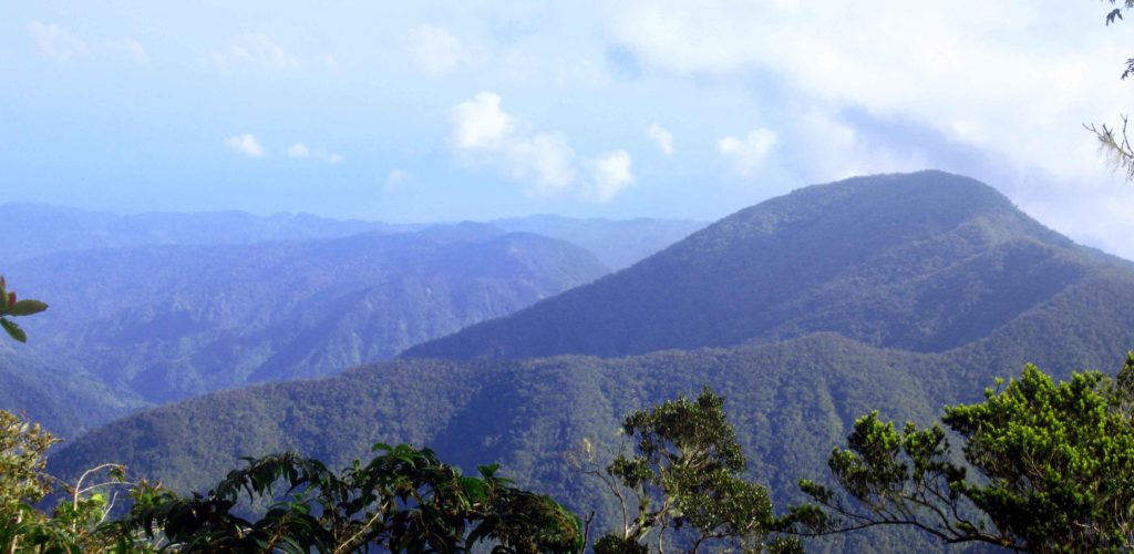 Major Mountains in Jamaica
