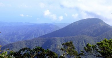 Major Mountains in Jamaica